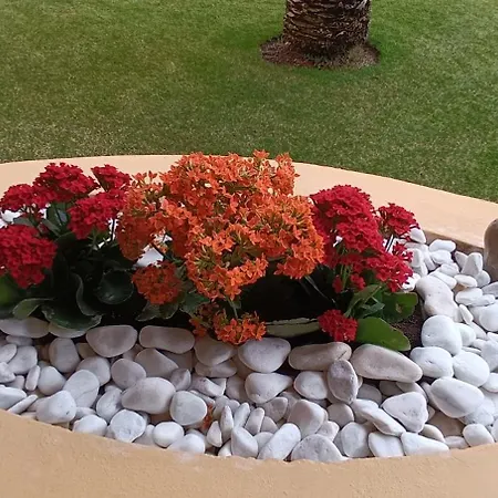 Acogedor Vistas Piscina Y Teide Lejlighed