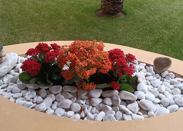 Acogedor Vistas Piscina Y Teide Daire